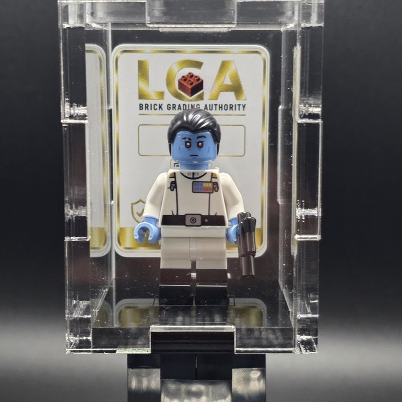 Minifigure encapsulated in an LGA acrylic case